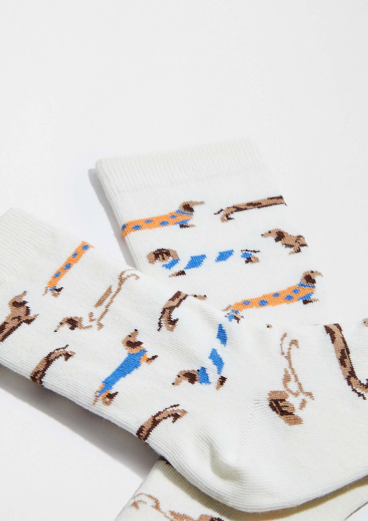 calcetines de perros para mujer