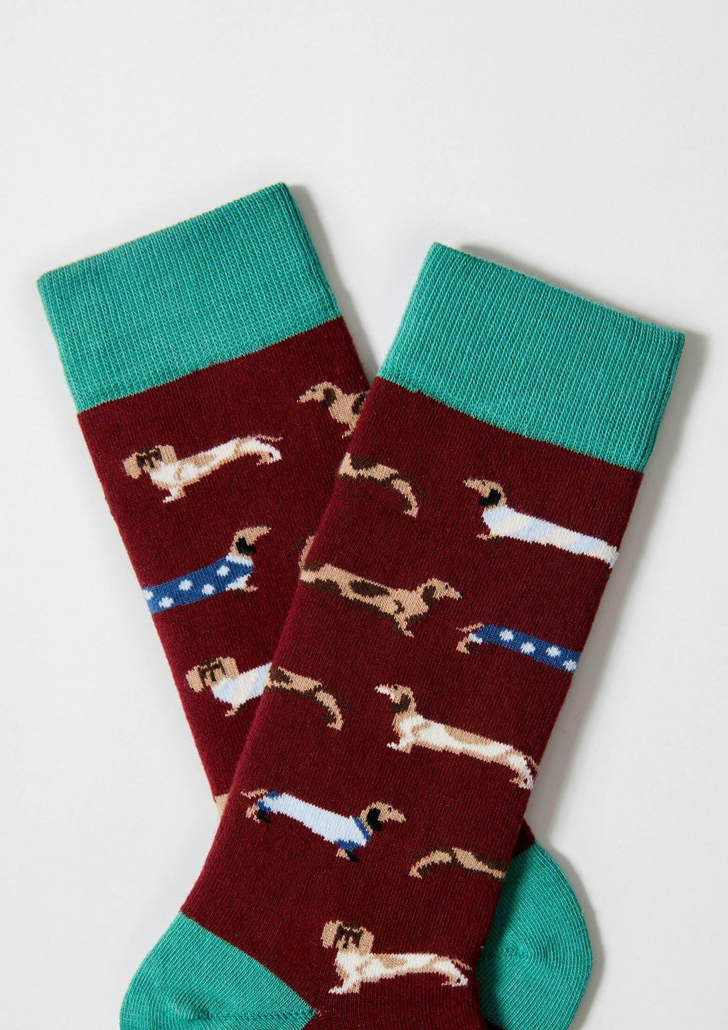 calcetines granates con dibujos de perros